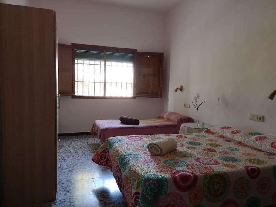 Casa Rural La Colina Calasparra Exteriér fotografie